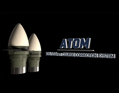 portfolio image template