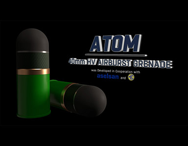 portfolio image template